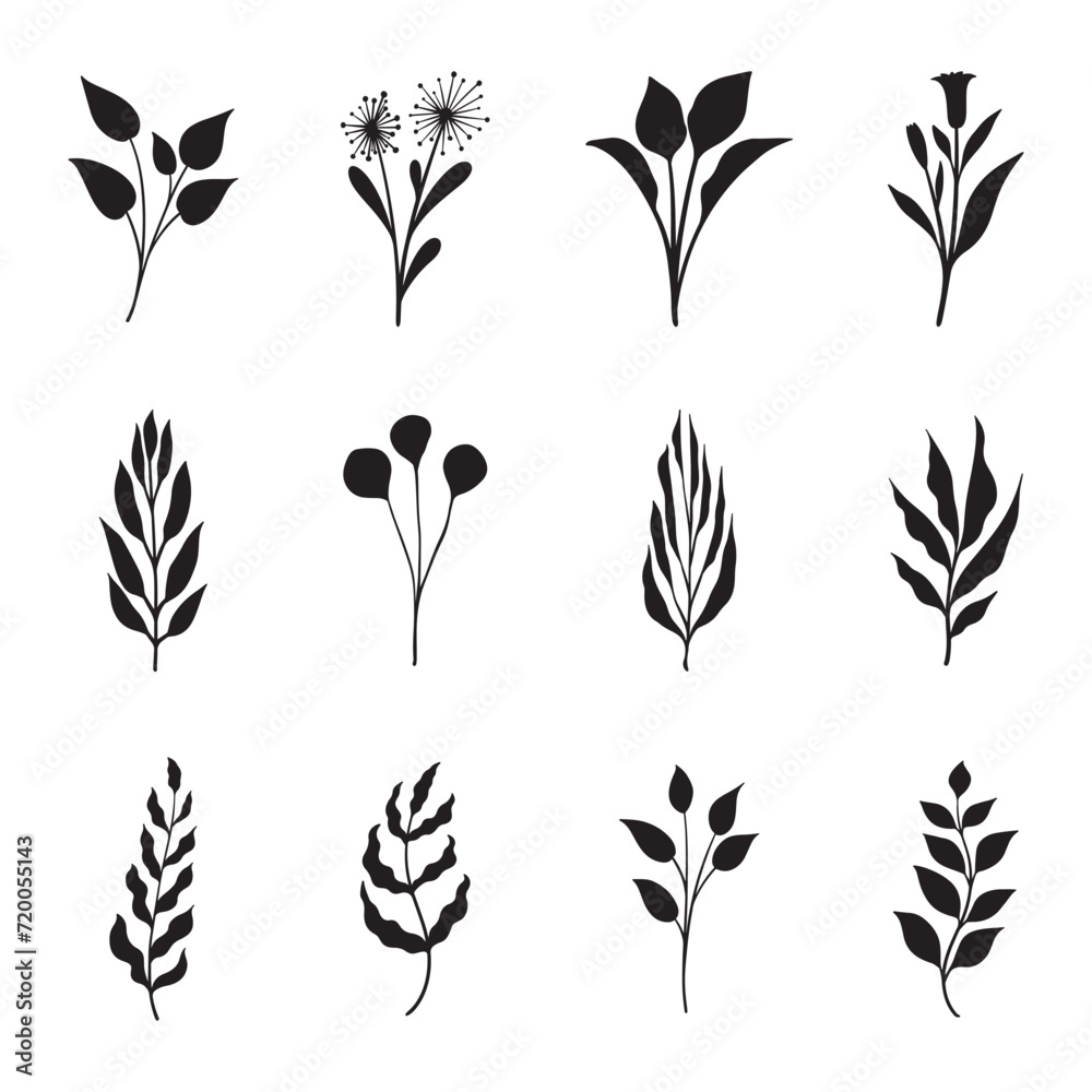 set of silhouettes of leaves set of silhouettes of leaves