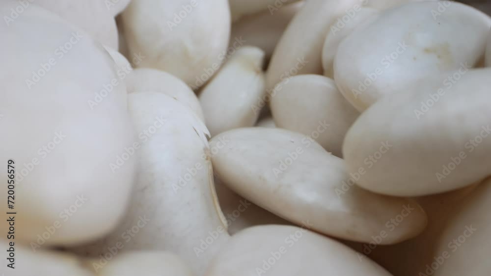 Slowly revolving white beans on a black background, captured in macro, illustrating the simplicity of plant-based food. Slowly revolving white beans on a black background, captured in macro, illustrating the simplicity of plant-based food.