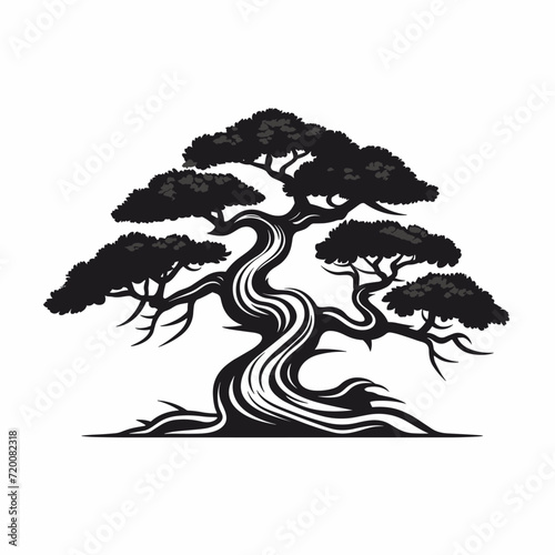 bonsai tree vector isolated on white