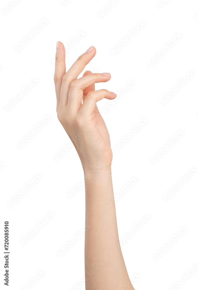 woman hand touching or pointing on isolated white background. woman hand touching or pointing on isolated white background.