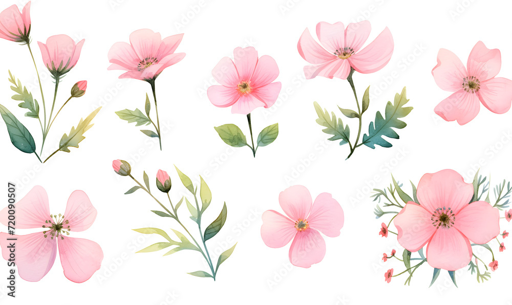 Watercolor pink flower object, Generative AI Watercolor pink flower object, Generative AI