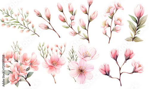 Watercolor pink flower object, Generative AI photo