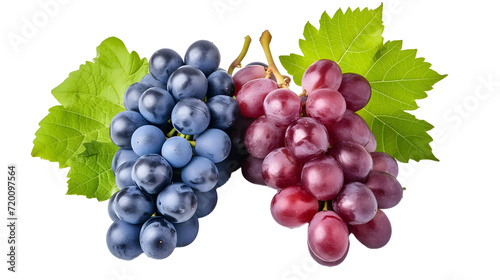 Red and blue grapes with leaves isolated on white background..