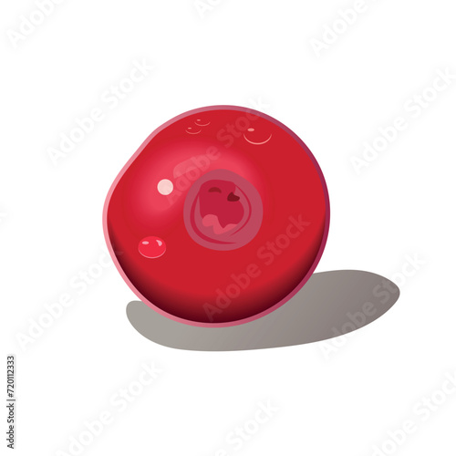 Berry of colorful set. This vibrant illustration features a luscious cherry with a juicy color, mouthwatering appeal. Vector illustration.