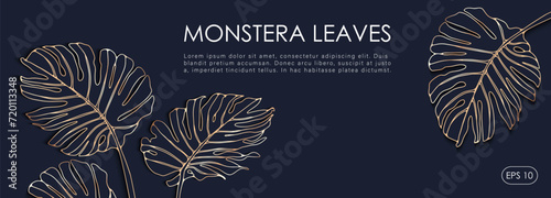 Luxury dark blue tropical design with golden monstera leaves. Botanical background, postcard, cover design, wallpaper.