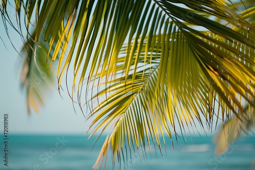 Tropical palm leaves with a blurred ocean background, conveying a serene beachside ambiance.