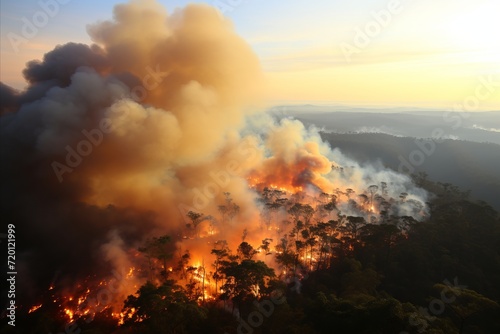 large-scale forest fire, view from a quadcopter © anwel