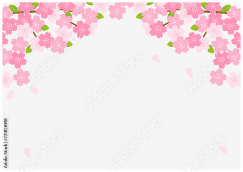 桜の花が美しい春の桜フレーム背景19灰色
