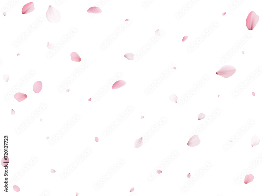 Realistic Sakura Petals.