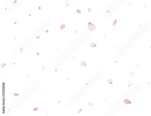 Sakura flying petals, romantic background.