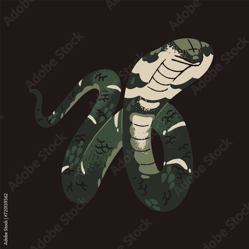 King cobra with extended hood in attack posture. Exotic venomous snake, serpent with patterned scale. Tropical poisonous cold blooded animal. Asia rainforest fauna. Flat isolated vector illustration