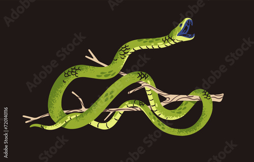 Western green mamba in attack posture. Venomous snake on tree. Tropical cold blooded animal on branch. Exotic serpent with open mouth. African rainforest fauna. Flat isolated vector illustration
