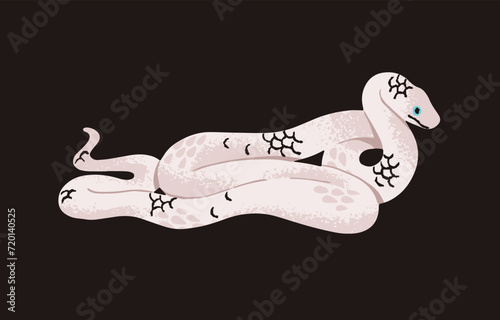 White Texas snake. Wild albino serpent from tropical forest. Exotic boa with anomaly scales. Dangerous reptile, cold blooded animal. Terrarium pet. Rainforest fauna. Flat isolated vector illustration