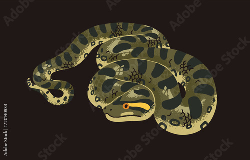 Giant green anaconda. Wild common water boa. Huge exotic tropical serpent. Dangerous big snake with patterned scale. Inhabitant of Amazonian jungle. Rainforest fauna. Flat isolated vector illustration