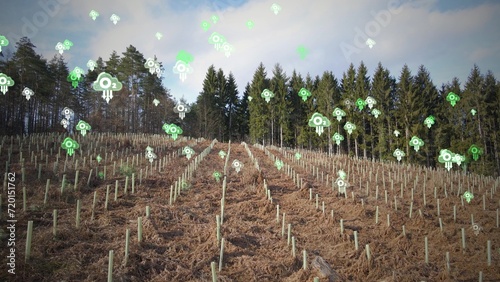 Woodland marked with pits dug for tree plantation. Restoring damaged forests for compensatory deforestation. Graphics of Oxygen O2 molecule photo