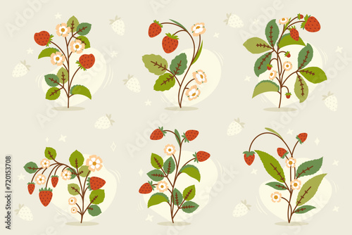 Collection of hand drawn strawberry bushes with leaves and flowers.