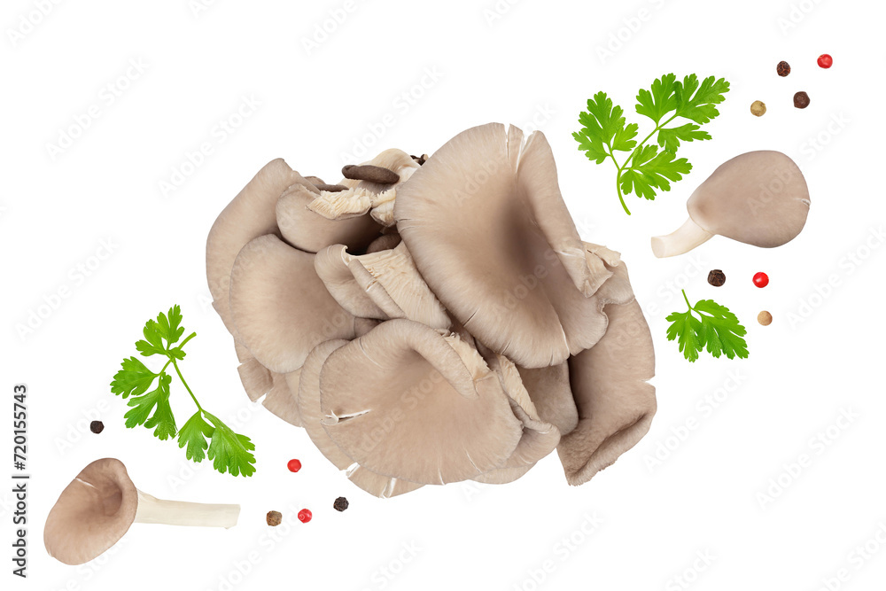 Fototapeta premium Oyster mushrooms isolated on white background with full depth of field. Top view. Flat lay