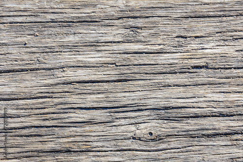 Natural wooden texture for the background. Cross section