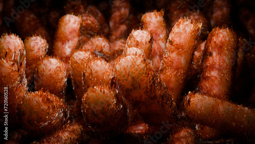 intestinal villi, Red microvilli in a intestinal tract. close-up, Microbiology, anatomy, biology, science, medicine, medical and healthcare concepts, Digestive system, epithelial cells, 3D Render