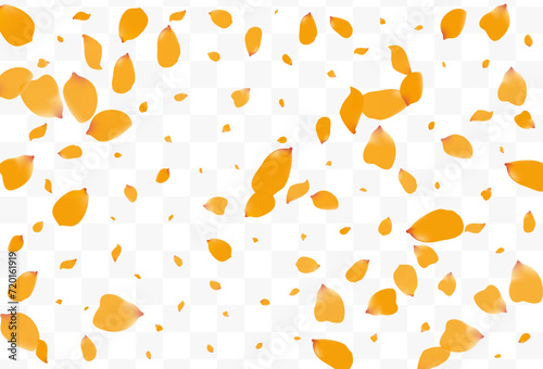 Delicate Tulip Falling Vector Transparent