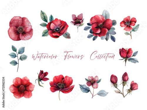 Water color flower set, ultra HD red color is very detailed, which is suitable for wedding templates or other decoration purposes
