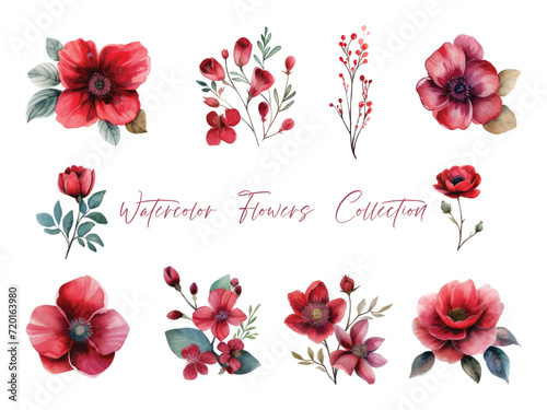 Water color flower set, ultra HD red color is very detailed, which is suitable for wedding templates or other decoration purposes