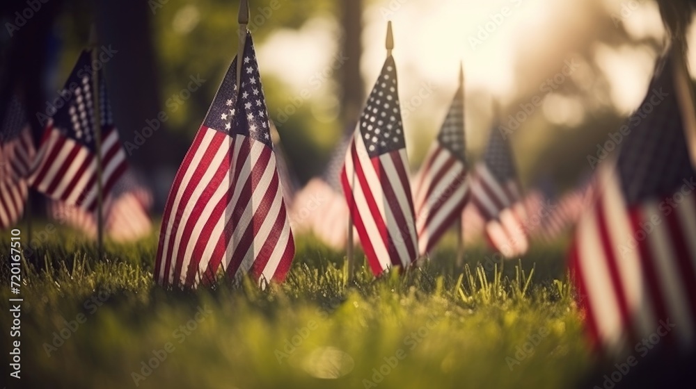 Memorial Day Flags in Cemetry, patriotic American image