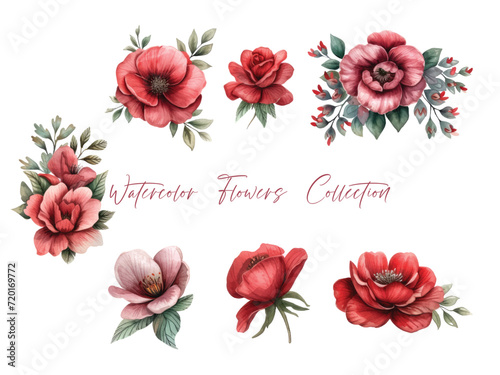 Water color flower set, ultra HD red color is very detailed, which is suitable for wedding templates or other decoration purposes