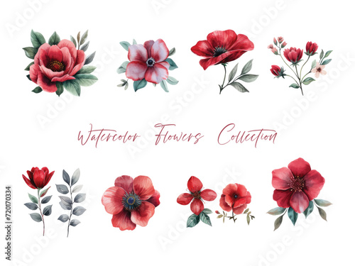 Water color flower set, ultra HD red color is very detailed, which is suitable for wedding templates or other decoration purposes