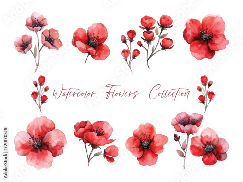 Water color flower set, ultra HD red color is very detailed, which is suitable for wedding templates or other decoration purposes