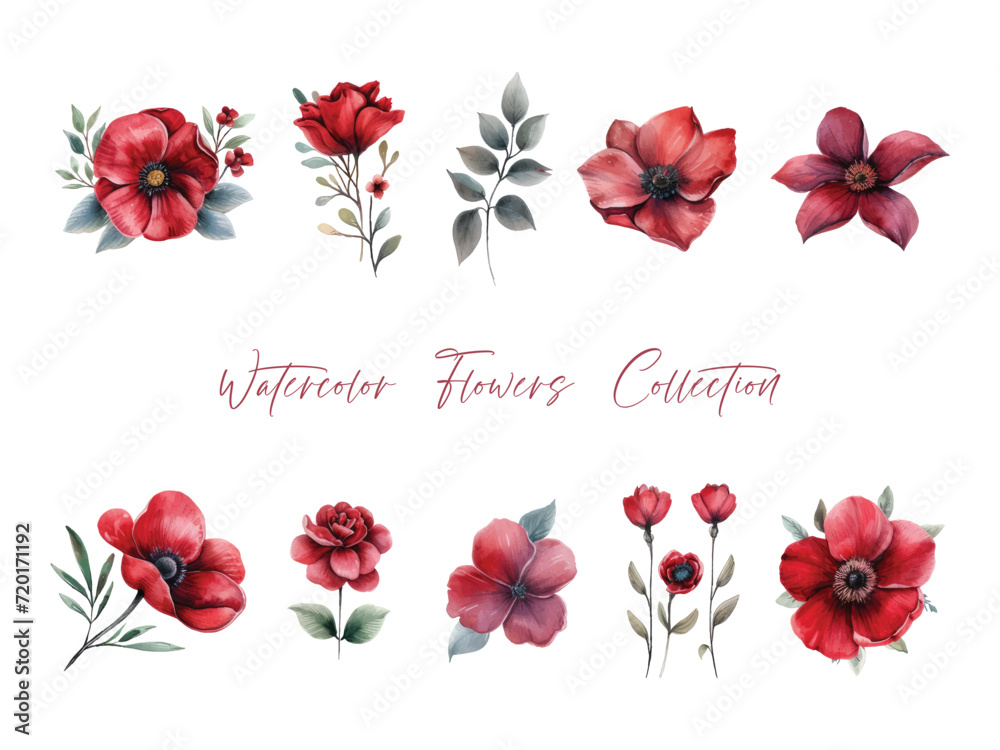 Water color flower set, ultra HD red color is very detailed, which is suitable for wedding templates or other decoration purposes
