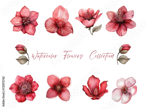 Water color flower set, ultra HD red color is very detailed, which is suitable for wedding templates or other decoration purposes