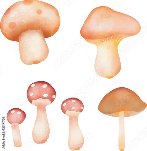 Vector hand drawn watercolor style illustration set of mushrooms