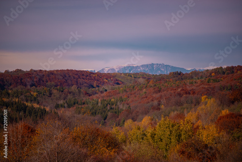 Picturesque autumn landscape with mountains in the background. Vast multicolored forest in sunny weather