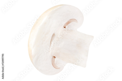 Half of a champignon isolated on a transparent background.