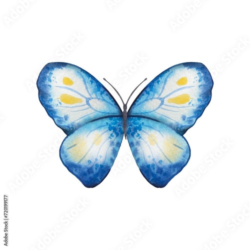 Hand drawn abstract butterfly in blue, yellow tones on a white background © Diasha Art