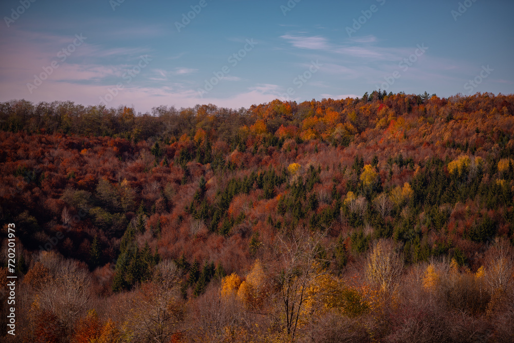 Picturesque autumn landscape far in the wilderness. Vast multicolored forest in sunny weather Picturesque autumn landscape far in the wilderness. Vast multicolored forest in sunny weather