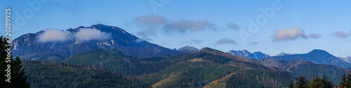 mountain view forest landscape Poland Zakopane