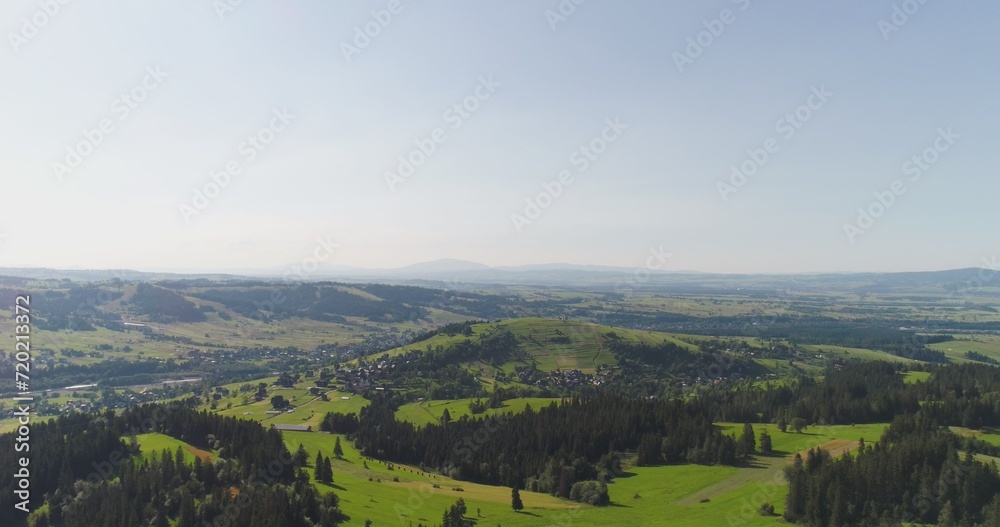 Flying over the beautiful forest trees. Landscape panorama.