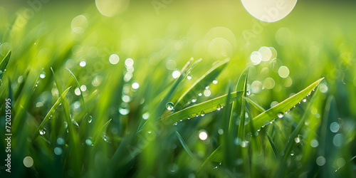 Dew Drops Lush Green Grass With Glistening A Macro Shot Embracing Nature S Elegance