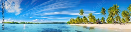 Panorama of a tropical beach with coconut palm trees