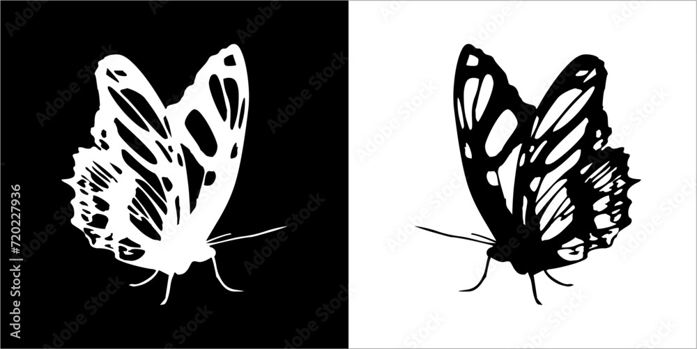 Illustration vector graphics of butterfly icon Illustration vector graphics of butterfly icon