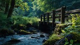 Wooden bridge over a forest stream with lush greenery