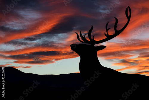 Silhouette of a deer looking at the landscape at sunset. Symbol of wild animals and nature.