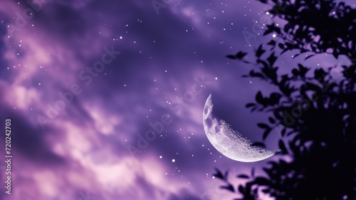 Crescent moon amidst purple night sky and stars © Artyom