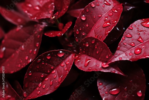 Crimson Jewels  Red Leaves Adorned with Glistening Water Droplets  Scarlet Sparkle  Vibrant Red Leaves Drenched in Delicate Water Droplets  Dewy Foliage  Lush Red Leaves Enhanced by Glistening Water 