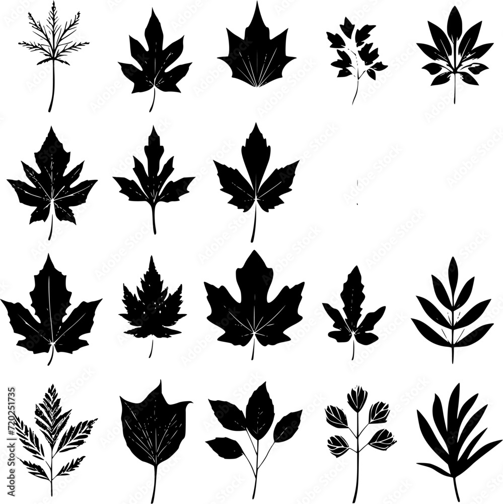 pattern, flower, floral, seamless, vector, leaf, design, decoration, ornament, illustration, wallpaper, art, plant, nature, vintage, damask, black, branch, decor, element, silhouette, swirl, flowers, pattern, flower, floral, seamless, vector, leaf, design, decoration, ornament, illustration, wallpaper, art, plant, nature, vintage, damask, black, branch, decor, element, silhouette, swirl, flowers,