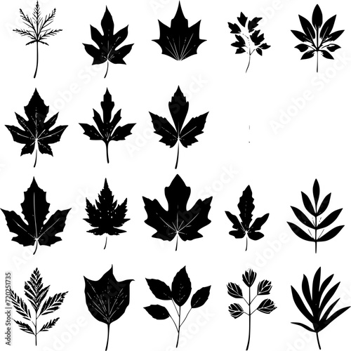  pattern, flower, floral, seamless, vector, leaf, design, decoration, ornament, illustration, wallpaper, art, plant, nature, vintage, damask, black, branch, decor, element, silhouette, swirl, flowers,