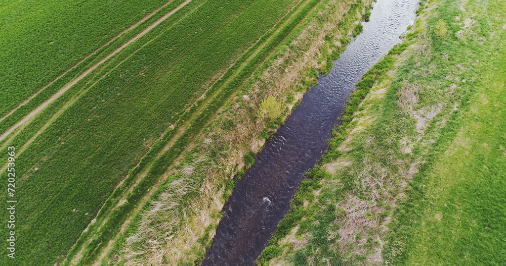 Mountain River in Green Forest. Aerial Shooting