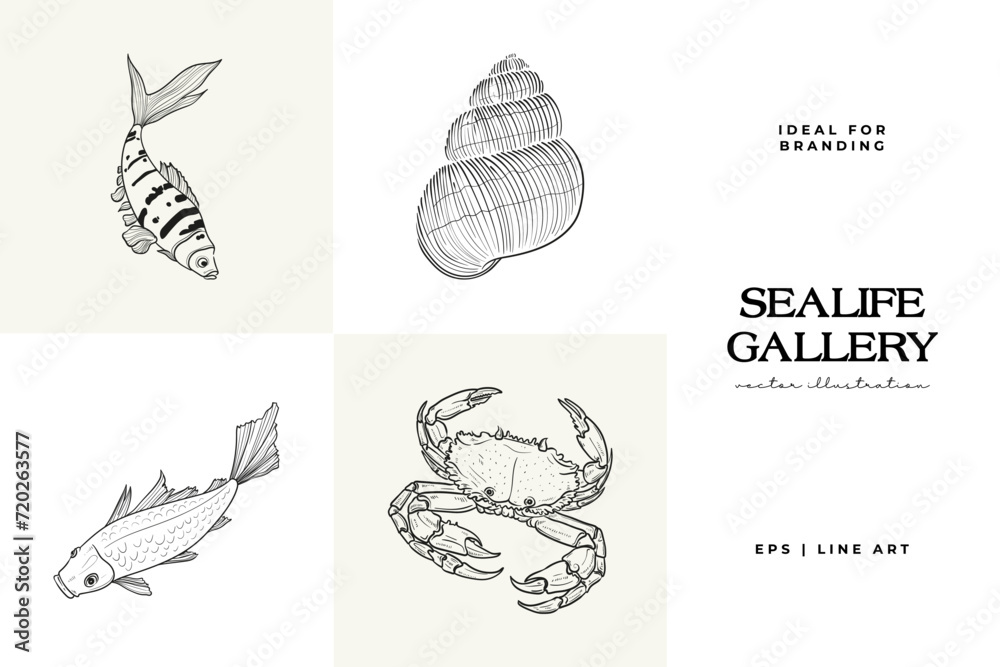 Ocean and Sea, Botanica illustration. Black ink, line, doodle style.